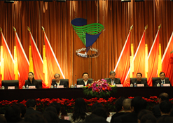 2010年12月，中出服、半岛集团公司-半岛（中国）外贸和中卫合作共同组建中国国际医药卫生公司（简称半岛集团公司-半岛（中国）国际）。